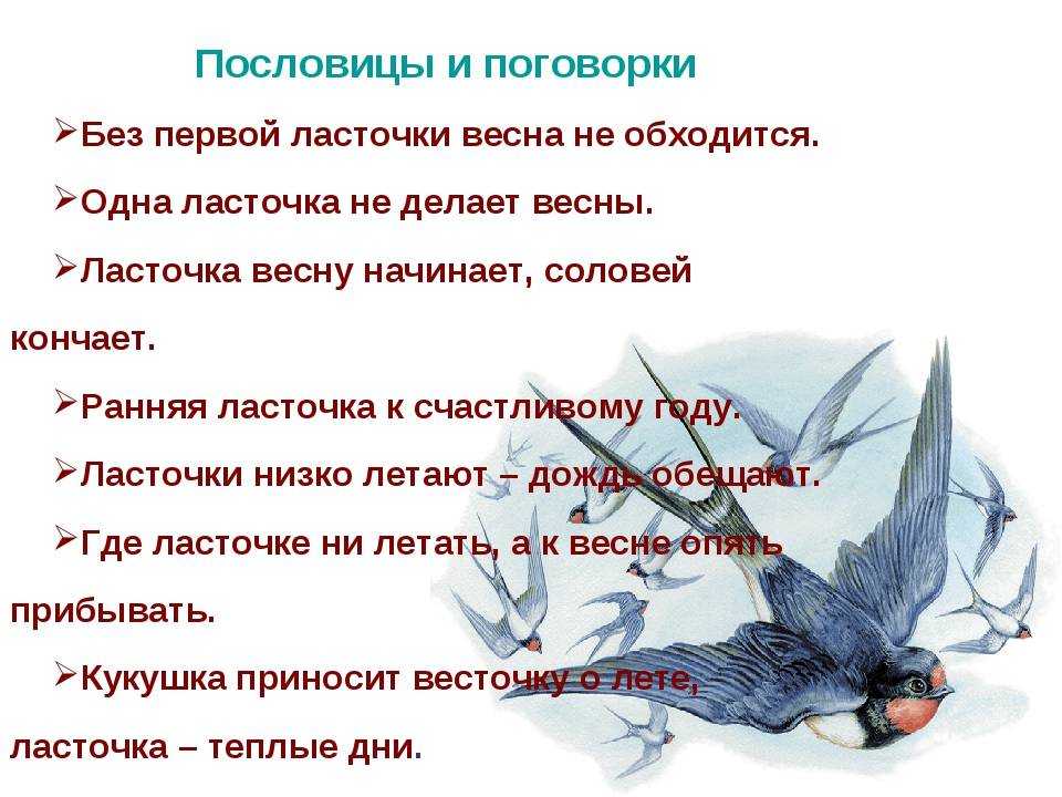 Алексей толстой 📜 уж ласточки, кружась, над крышей щебетали - читать и слушать стих +заказать анализ