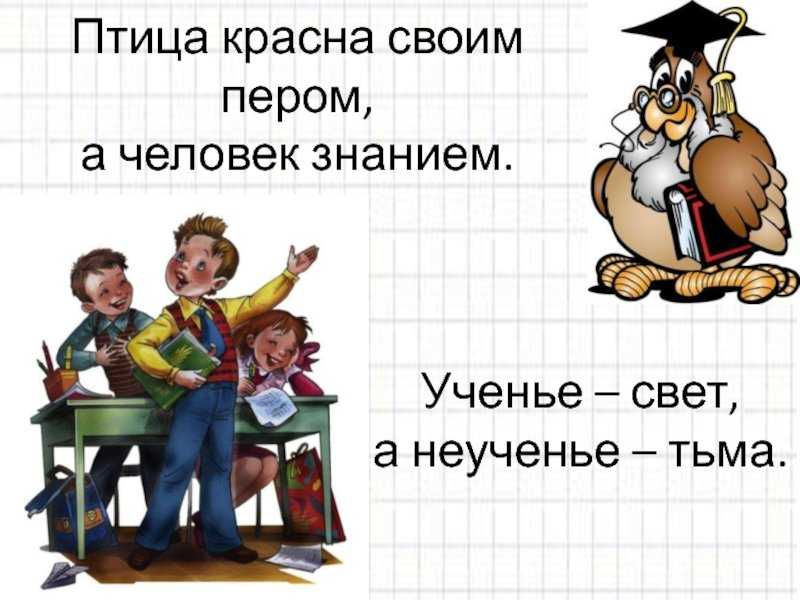 Картинка ученье свет а неученье