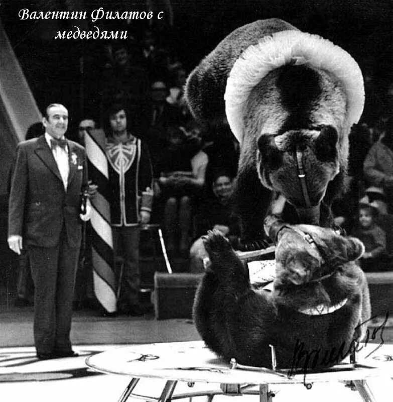 Анализ стихотворения «вечер» (и.а. бунин) | литрекон
