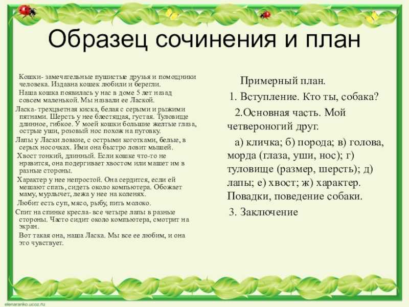Любимый сердцу уголок. стихи о малой родине
