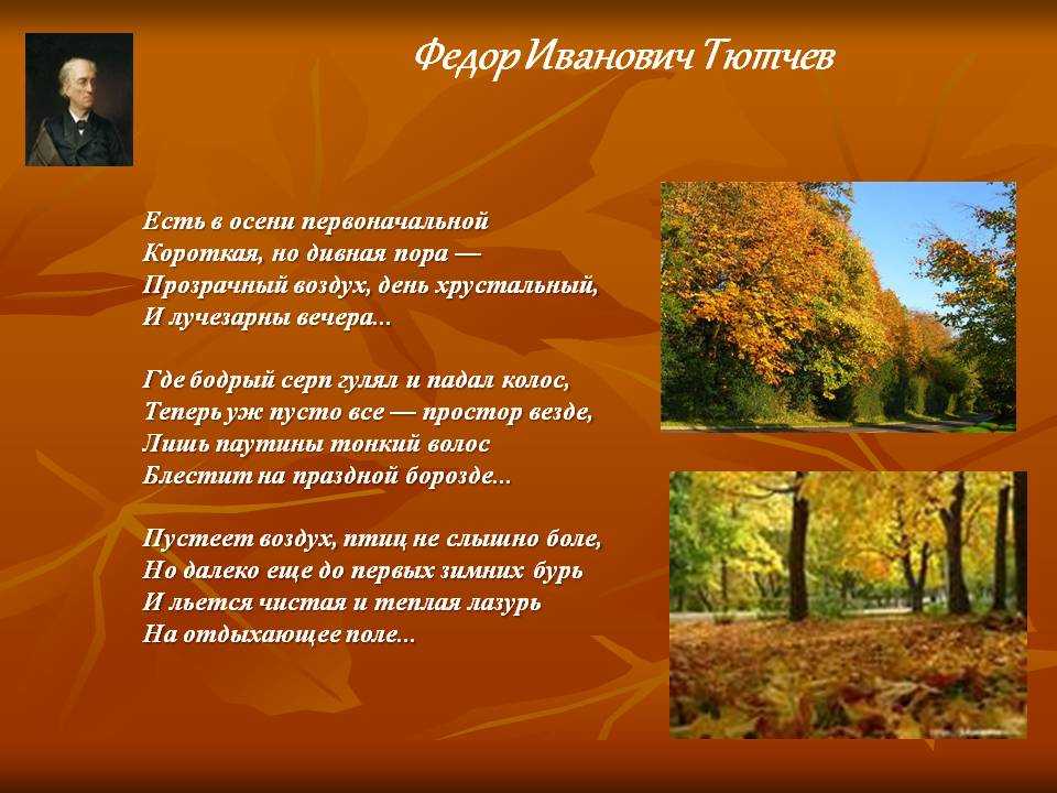 Федор тютчев 📜 обвеян вещею дремотой - читать и слушать стих +заказать анализ