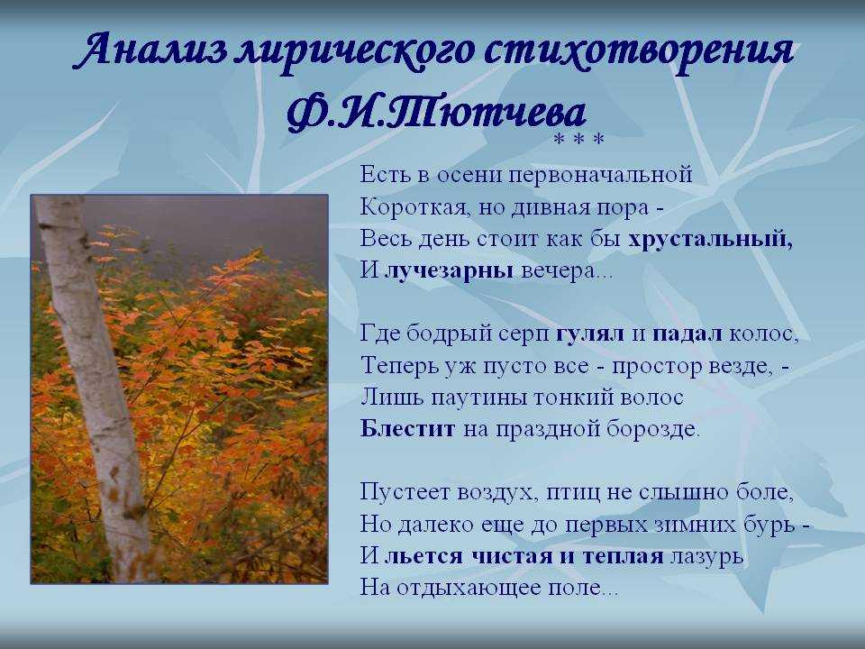Анализ стихотворения «когда природа вся трепещет и сияет» толстого