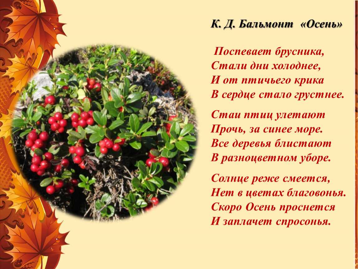 Исследовательская работа по творчеству к.д. бальмонта