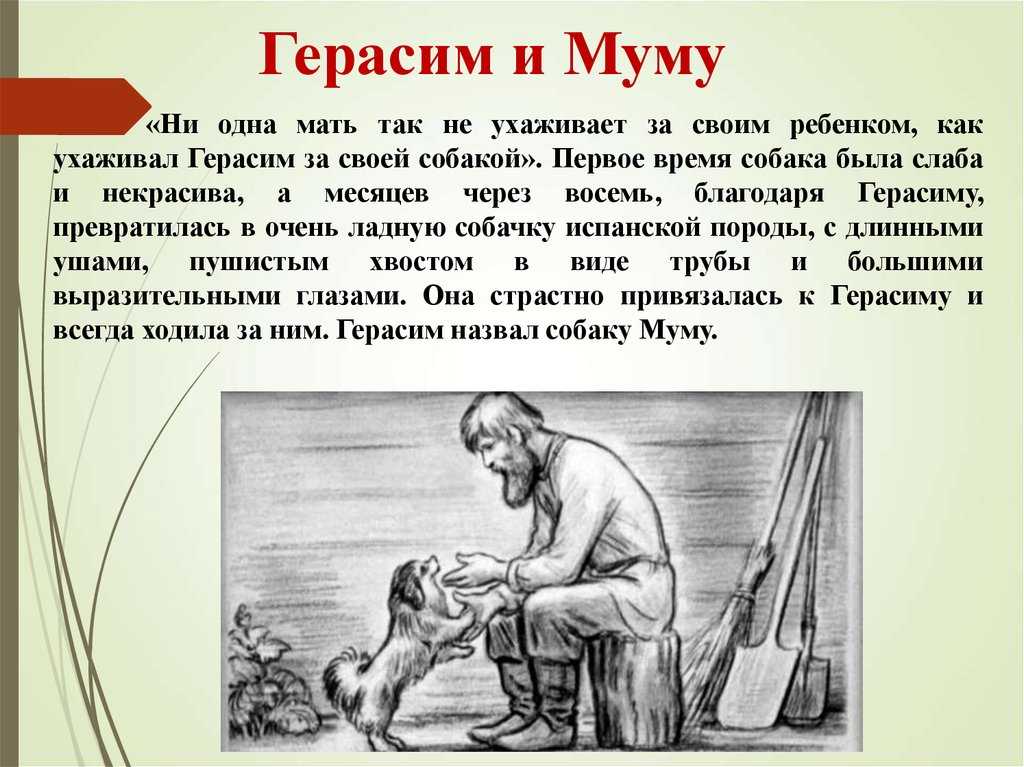 Над какими вопросами размышляет автор в произведении собака тургенев