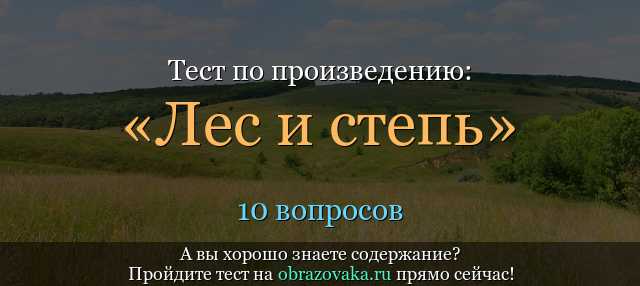 «лес и степь»