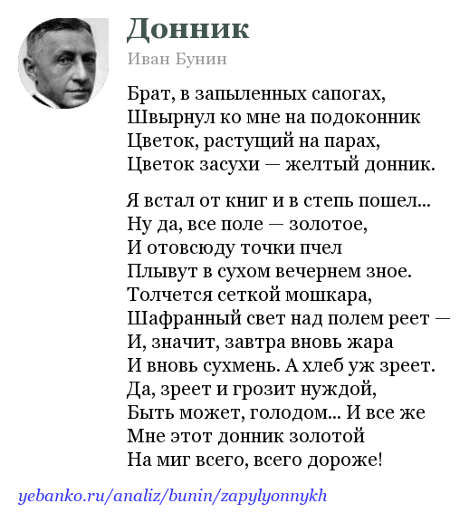 И бунин "ночь"🌜 - последний стих поэта - текст и анализ - блог stihirus24