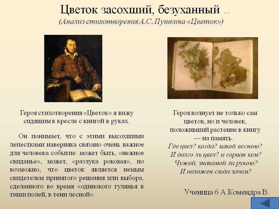 Стихи пушкина - любимые и известные | rl разные люди