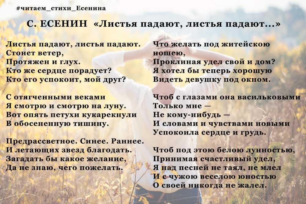 Листья тополя падали с ясеня. Стихи про волонтеров. Стихи про волонтерство. Стихи про волонтеров и добровольцев. Стихотворение про волонтера для детей.