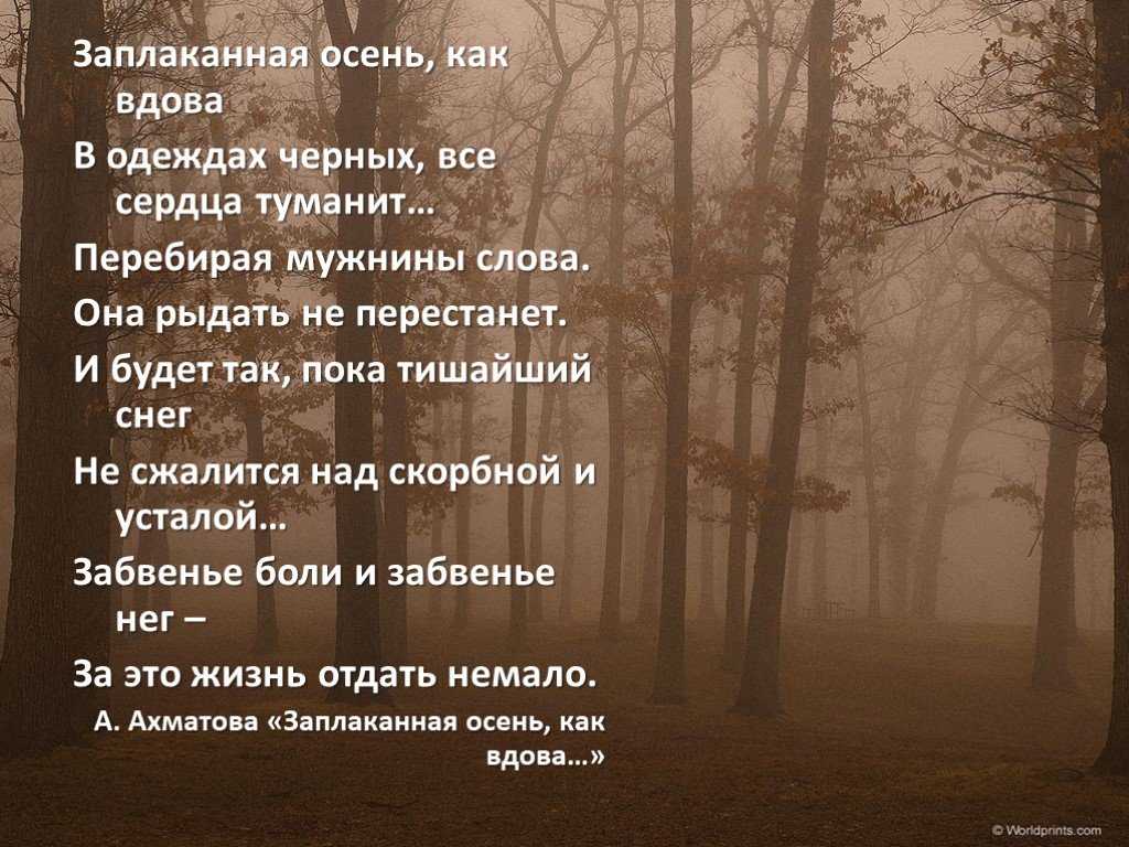 Стихотворение а.ахматовой «заплаканная осень, как вдова...». сочинение. литература. 2009-01-12