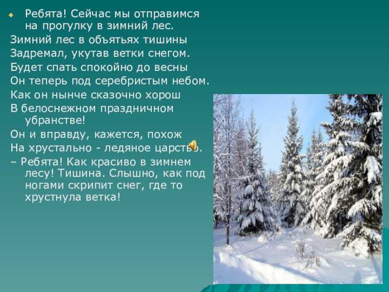 Сочинение на тему зимний лес 6 класс по русскому языку описание