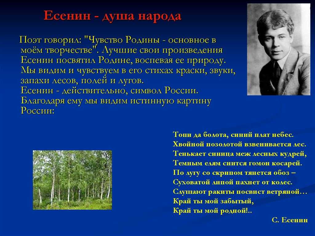 Какие поэты создали произведения о твоей родине проект 4 класс