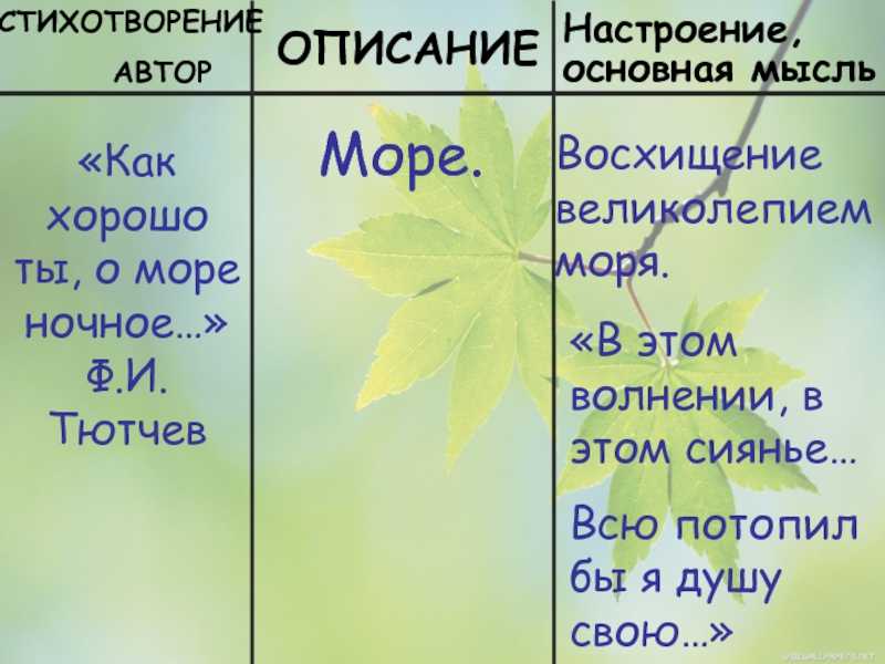 А. А. Фет. «Учись у них  у дуба, у березы». Текст произведения