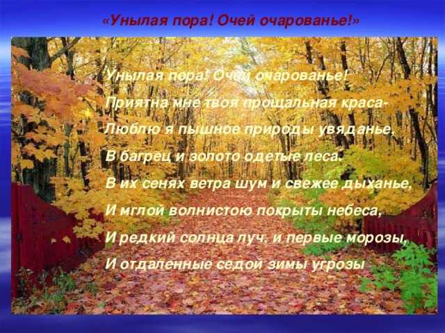 Краткий анализ стихотворения «унылая пора!..» по плану