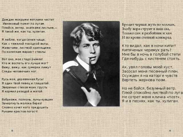 Сергей есенин 📜 хулиган