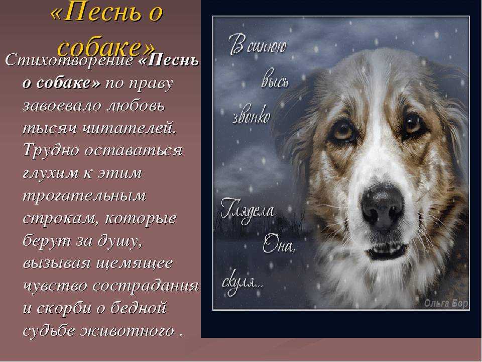 Образ природы в лирике сергея есенина