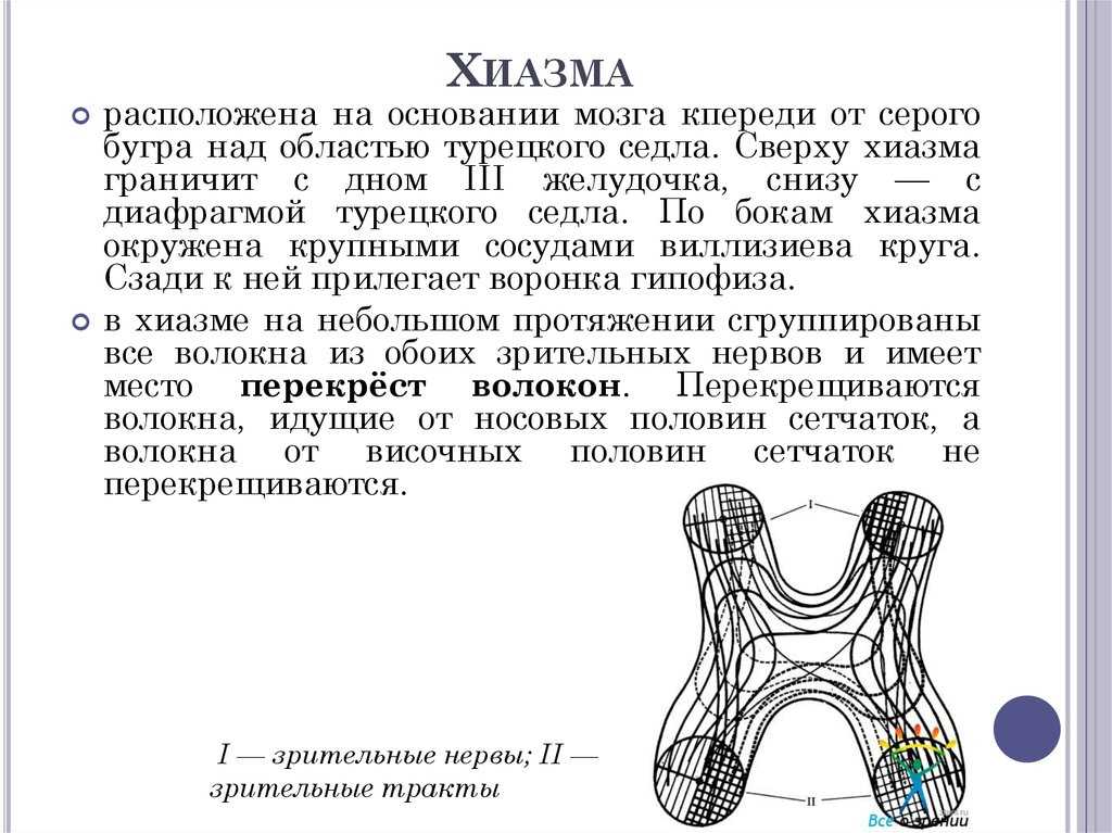 Презентация, доклад к занятию элективного курса по теме параллелизм. хиазм.