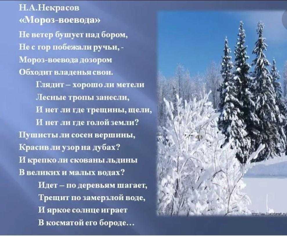 Стихи пушкина про зиму | красивые и короткие стихи о зиме для взрослых и детей 3,4 класса