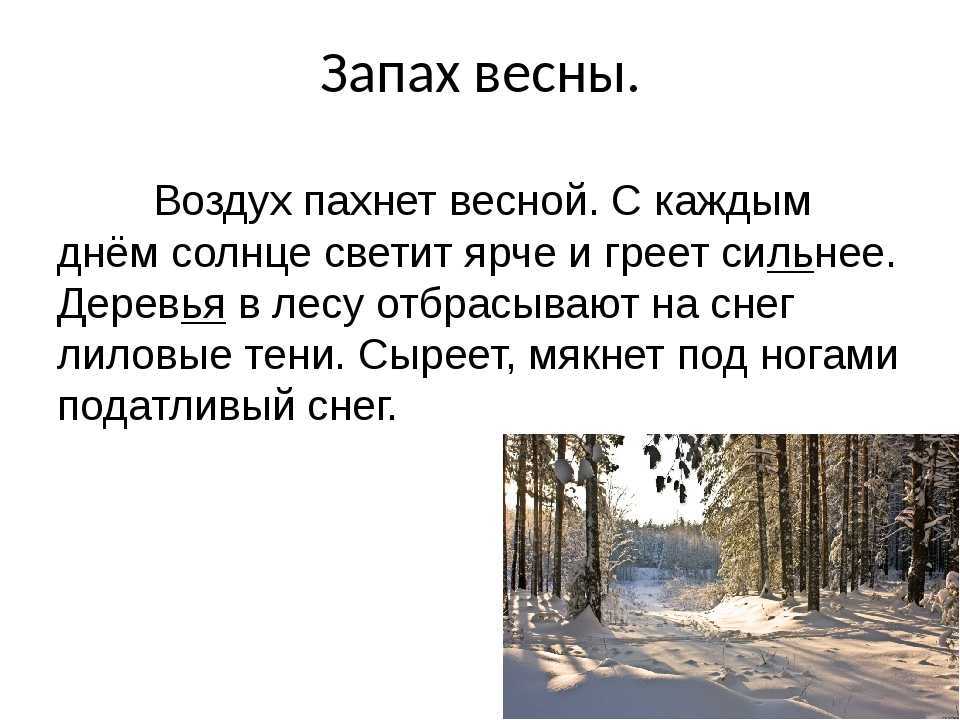 Сочинение осенние каникулы и как я их провожу 2, 3, 4, 5, 6 класс