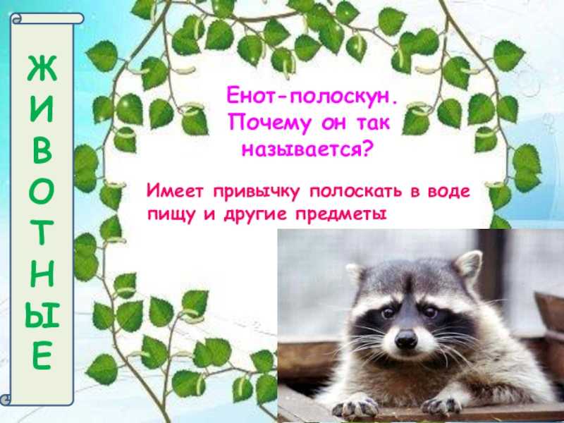 Енотик-полоскун - глад валакас скачать mp3 слушать песню онлайн бесплатно | muzlike.me