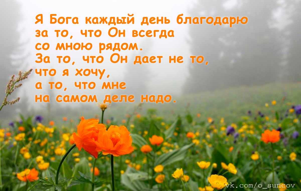 Бунин благодарю тебя господь. Благодарность Богу за каждый день. Каждый день благодарю Бога. Каждый день благодари Бога. Я Бога каждый день благодарю.