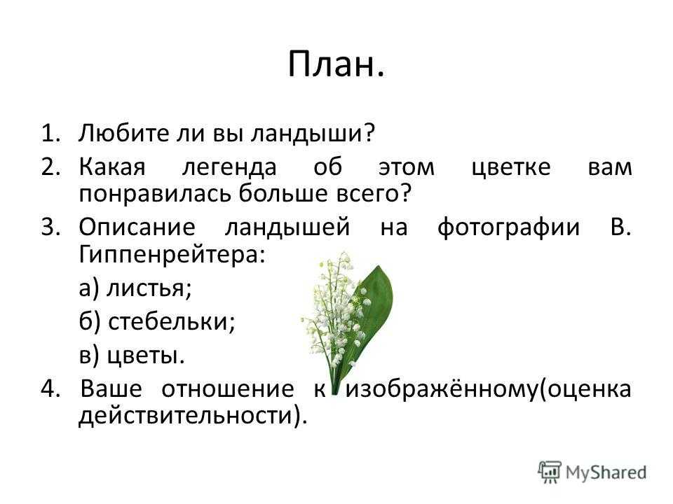 Сочинение на тему ландыш 3, 5 класс