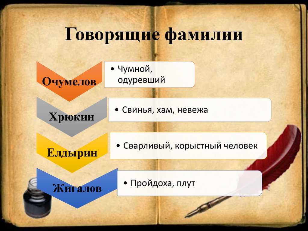 Роль художественной детали в рассказе чехова хамелеон