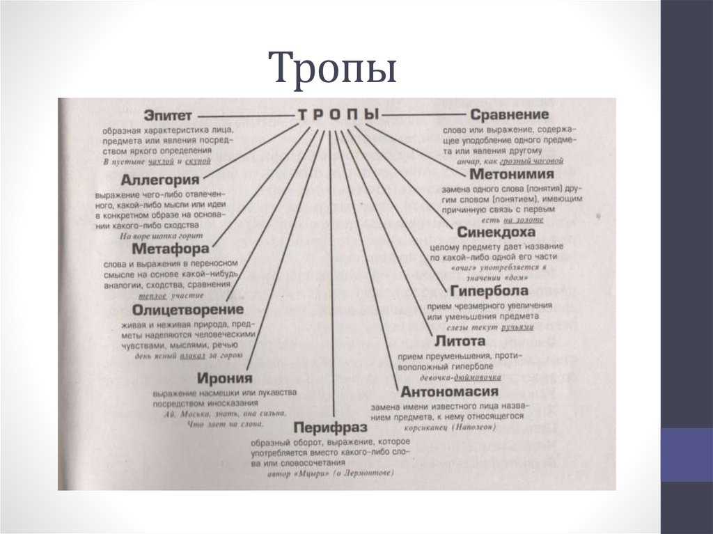 Теория литературы: средства художественной выразительности. Часть 2 - Умскул Уче