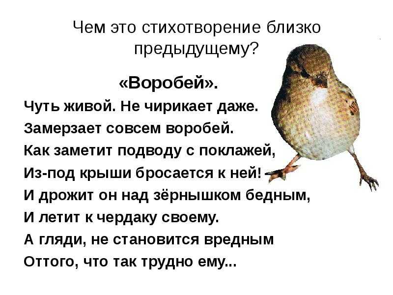«воробей» анализ стихотворения тургенева по плану кратко – художественные приемы, сравнение, рифма
