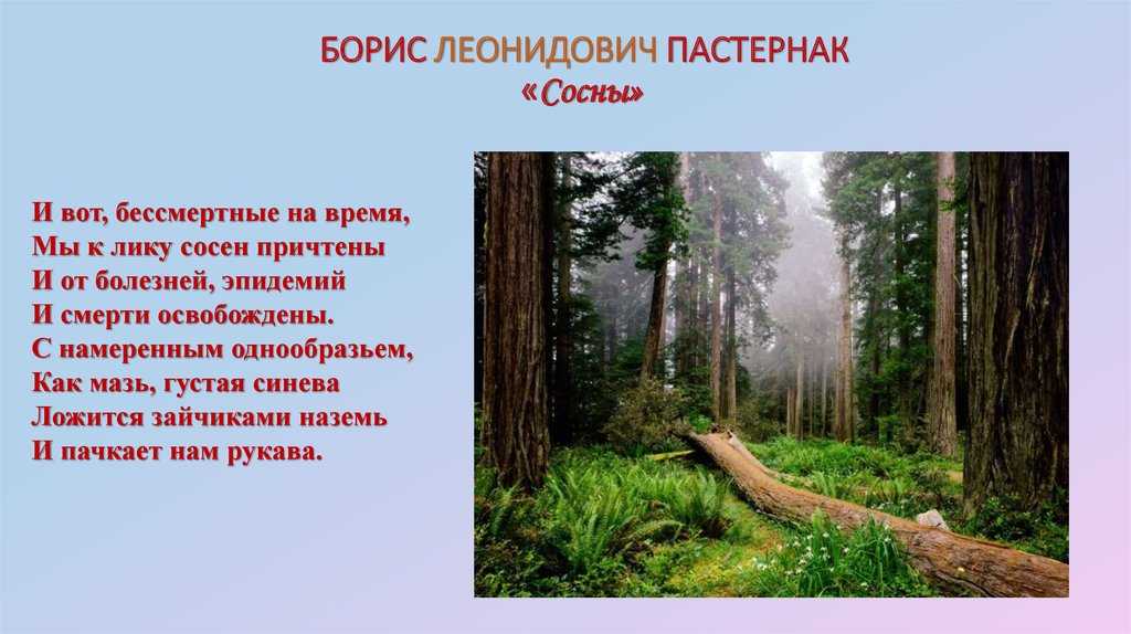 Лучшие стихи бориса пастернака | стихи | дзен