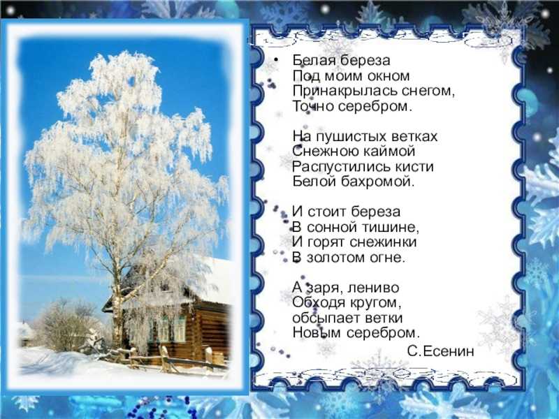 С есенин "сыплет черемуха снегом" стих с аудио и анализом - блог stihirus24