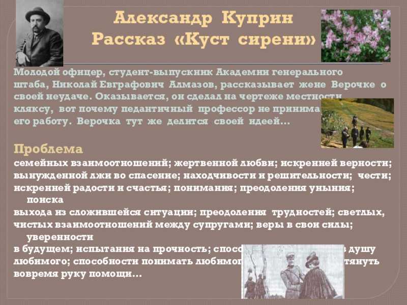Сочинение николай и вера в рассказе куст сирени куприна