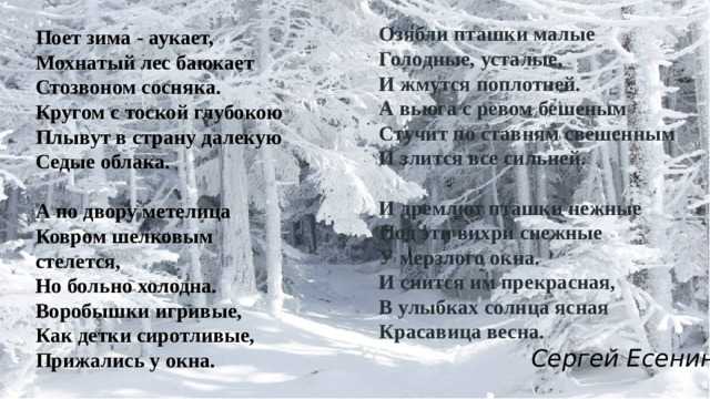 Поет зима, аукает – сергей есенин: стих, текст стихотворения полностью читать на poetry monster