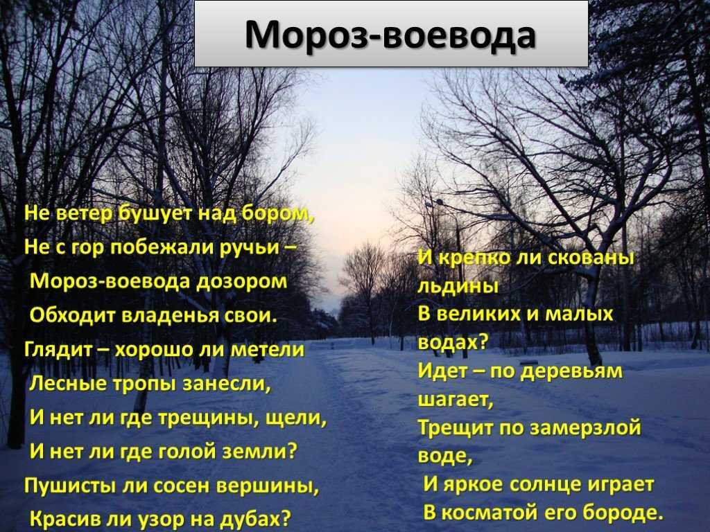 Стих над. Стих Некрасова Мороз Воевода. Стихотворение н Некрасова Мороз Воевода. Некрасов не ветер бушует. Стихотворение Некрасова Мороз Воевода текст.