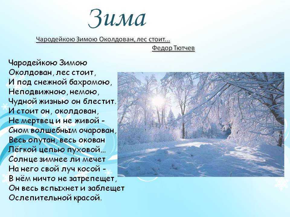 Вяземский «первый снег»