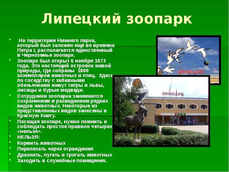 Сочинение на тему мой город