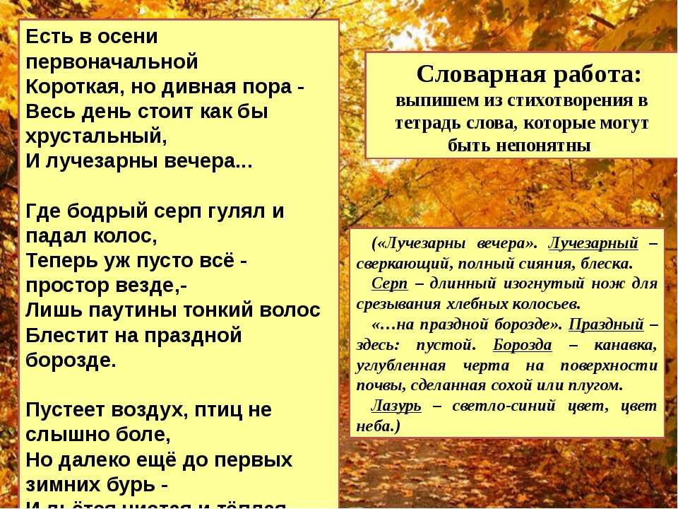 Как мимолетна тень осенних ранних дней анализ стихотворения