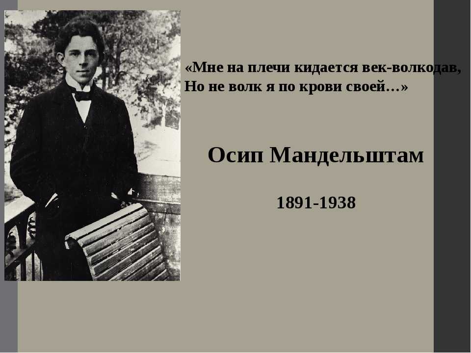 Анализ стихотворения «век» (о.э. мандельштам) | литрекон