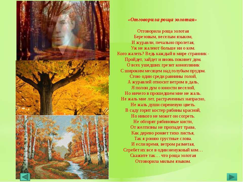 Анализ стихов есенина про осень