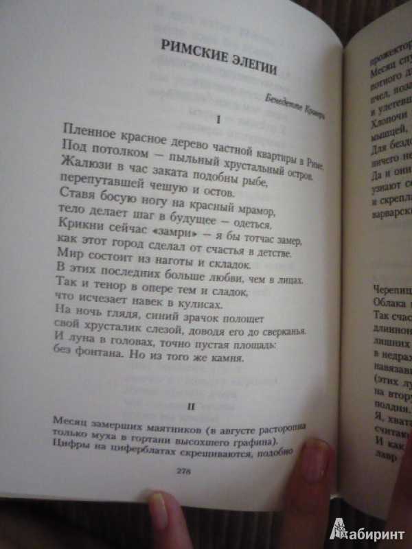 И.а. бродский.  осенний крик ястреба.  текст.