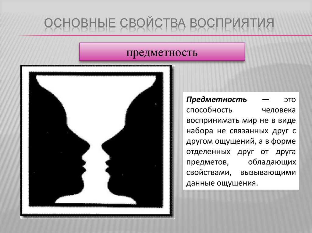 Предметность. Предметность восприятия. Предметность восприятия примеры. Предметность и целостность восприятия. Основные свойства восприятия предметность.