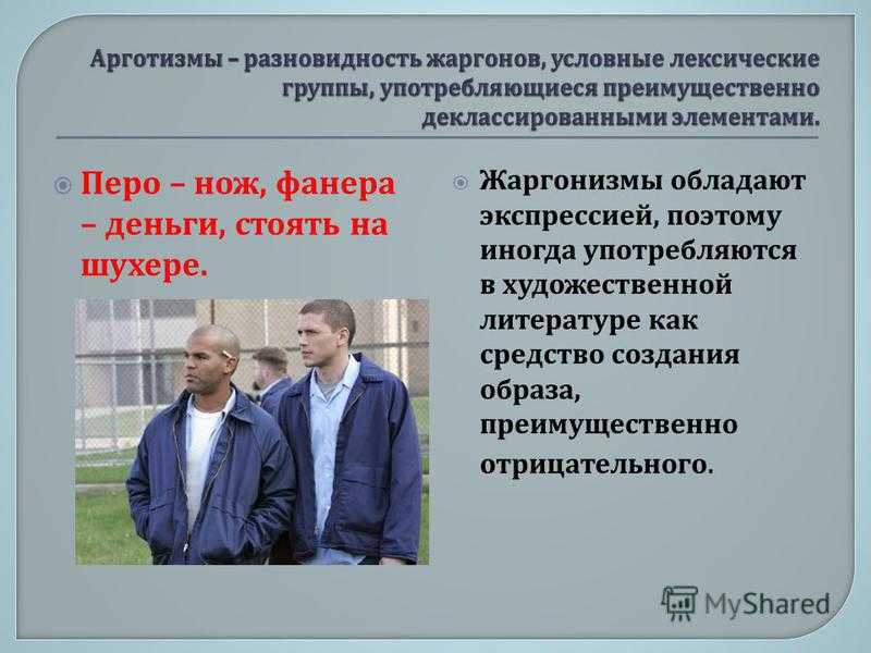 Арготизмы и жаргонизмы в молодежной среде