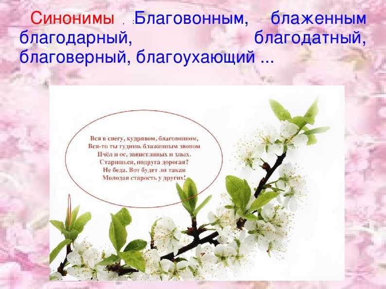 И. а. бунин «родина» полный анализ - литературный блог