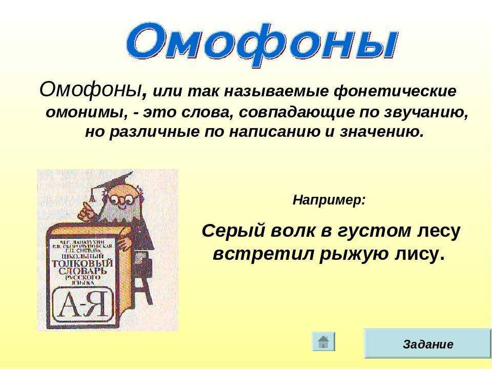Омонимы: что это, какие виды существуют, и как отличить от многозначных слов - узнай что такое