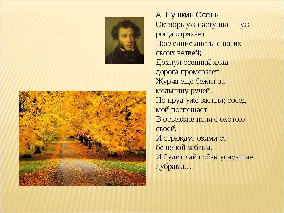 Пушкин октябрь. Александр Сергеевич Пушкин октябрь уж наступил. Осень отрывок октябрь уж наступил уж роща отряхает. Александр Сергеевич Пушкин осень отрывок. Стих Пушкина октябрь уж наступил.