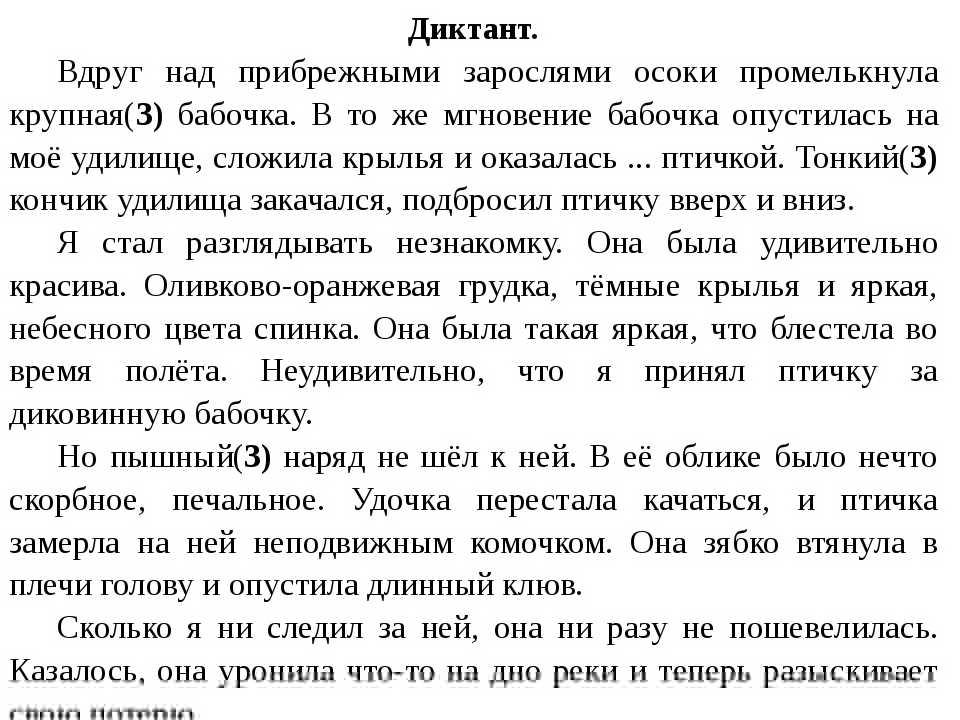 Сочинение я сижу на берегу моря, озера, реки 7 класс