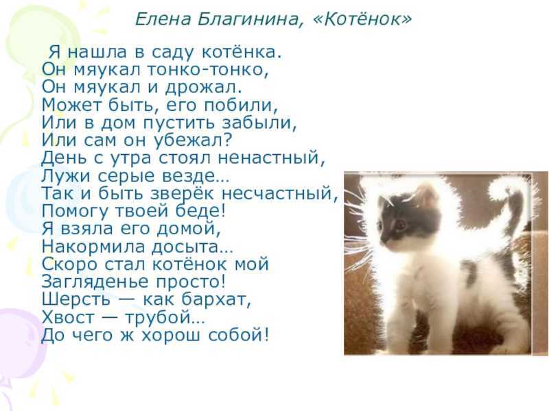 Произведения благинина для детей. творчество елены благининой. стихи благининой читать