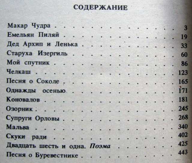 Мой спутник краткое содержание читать по главам. мой спутник