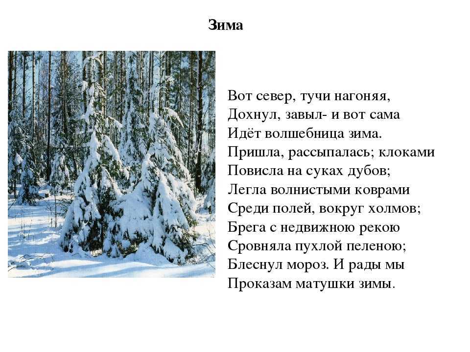 Стихи о зиме