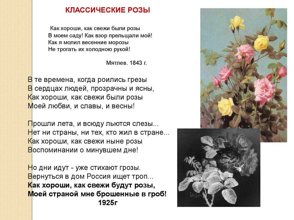 Романтические розы северянин. «классические розы», анализ стихотворения северянина