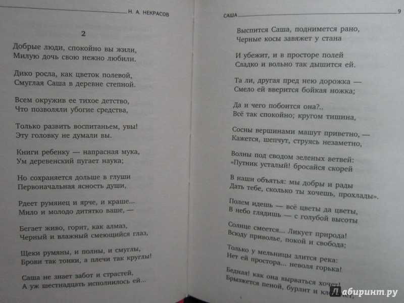 Я тебя куплю читать полностью. Стих Саша Некрасов. Саша отрывок из поэмы Некрасова. Стихи Некрасова.